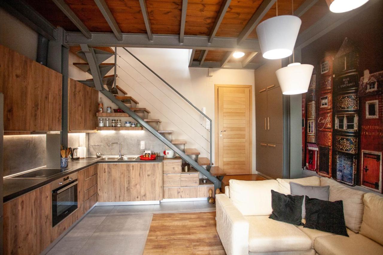 公寓 Euzoia Luxury Maisonette Hania